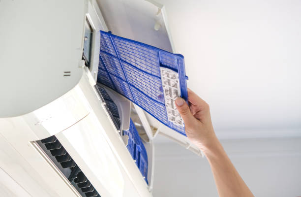 Best Home Air Vent Cleaning  in Roxboro, NC