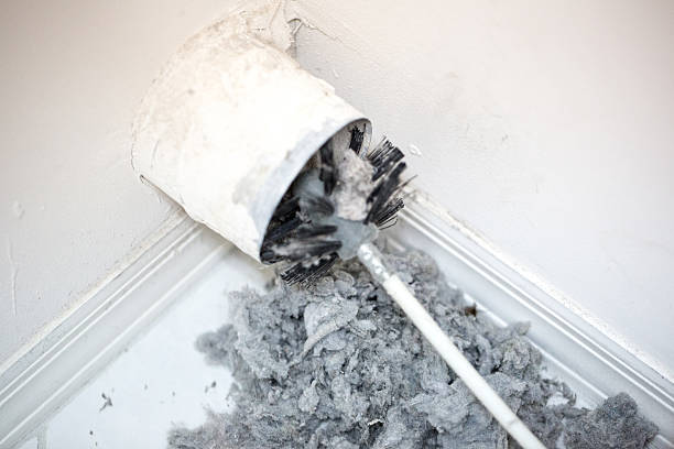 Best Affordable Air Duct Cleaning  in Roxboro, NC
