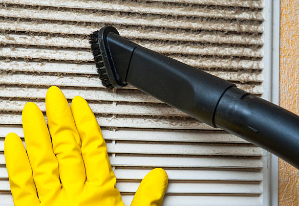 Best Duct Cleaning for Homes  in Roxboro, NC